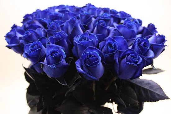 boiler Dwang Prijs Boeket 25 blauwe rozen | bol.com