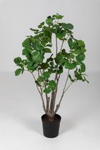 Polyscias - Aralia - zijden plant - kantoorplant - topkwaliteit kunstplant - 115cm hoog