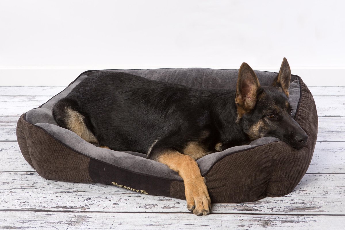 Scruffs Chester Box Bed hondenmand L 75x60 bruin thumbnail 5