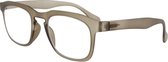Icon Eyewear YCU361 Bob Leesbril +2.50 - Mat grijs - spring hinge