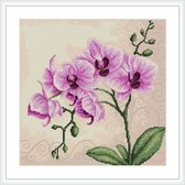 Luca S borduurpakket Orchid B2227, orcidee 23 x 22,5 cm