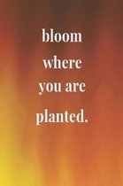 Bloom Where You Are Planted