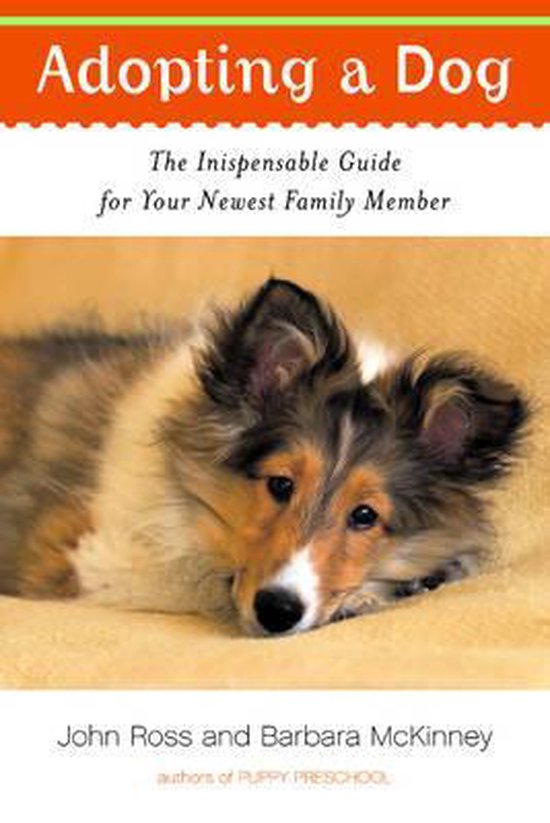 Adopting a Dog - The Indispensable Guide for your Newest Family Member