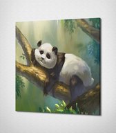 Panda On A Tree - 40 x 40 cm - Dieren - Schilderij - Canvas - Slaapkamer - Wanddecoratie  - Slaapkamer - Foto op canvas