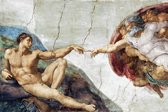 Michelangelo poster Adam bijbel Sixtijnse kapel Rome 61x91.5 cm.