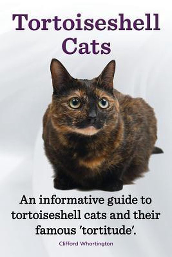Tortoiseshell Cats. an Informative Guide to Tortoiseshell Cats and