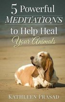 5 Powerful Meditations to Help Heal Your Animals