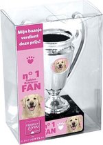 Golden Retriever trofee voor mijn baasje