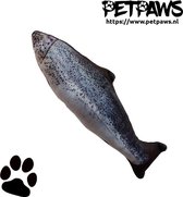 PetPaws Catnip Vis 20cm - 2 stuks - Kattenspeelgoed met kattenkruid