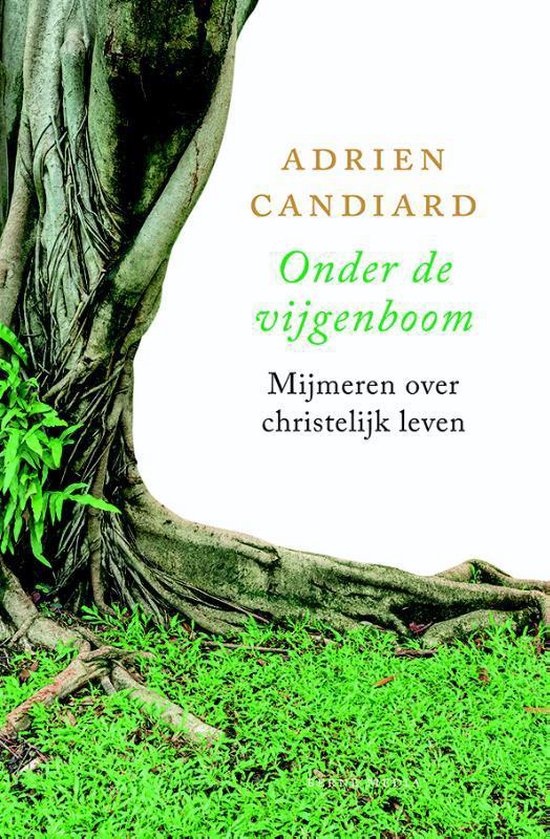 9789089723291 - Onder de vijgeboom