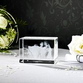 3D Foto in glas Model: Mare Afm: 80 x 80 x 120 mm liggend formaat