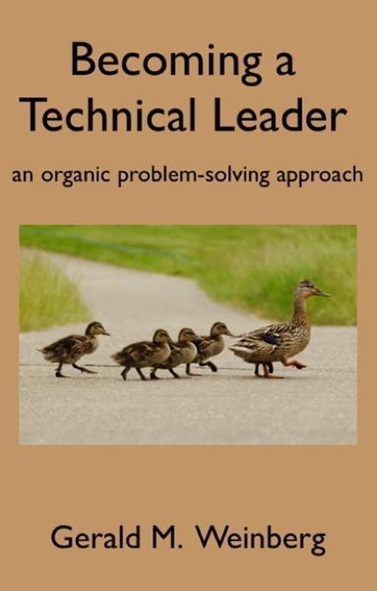 Software Testing 5 - Becoming a Technical Leader