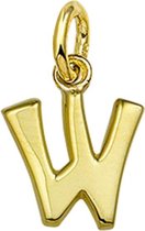 The Jewelry Collection Hanger Letter W - Goud
