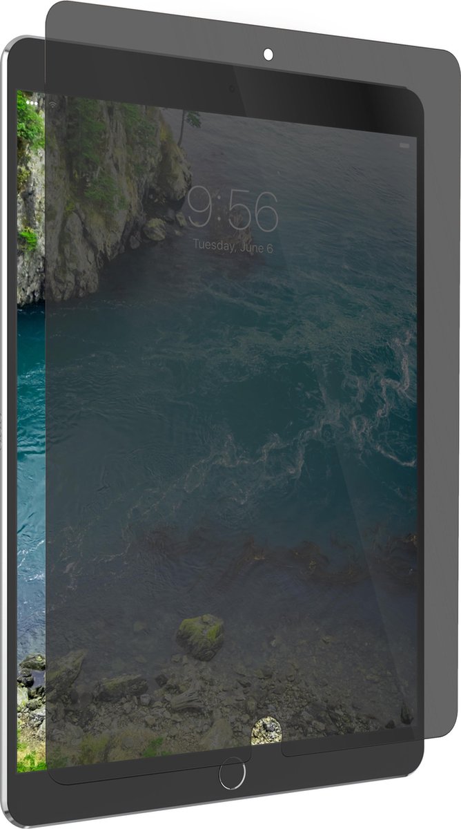 Zagg Invisible Shield Glass+ Privacy iPad 9.7 inch