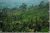 Rijstvelden Indonesië | Natuur | Tuindoek | Tuindecoratie | 90CM x 60CM | Tuinposter