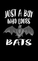 Just A Boy Who Loves Bats