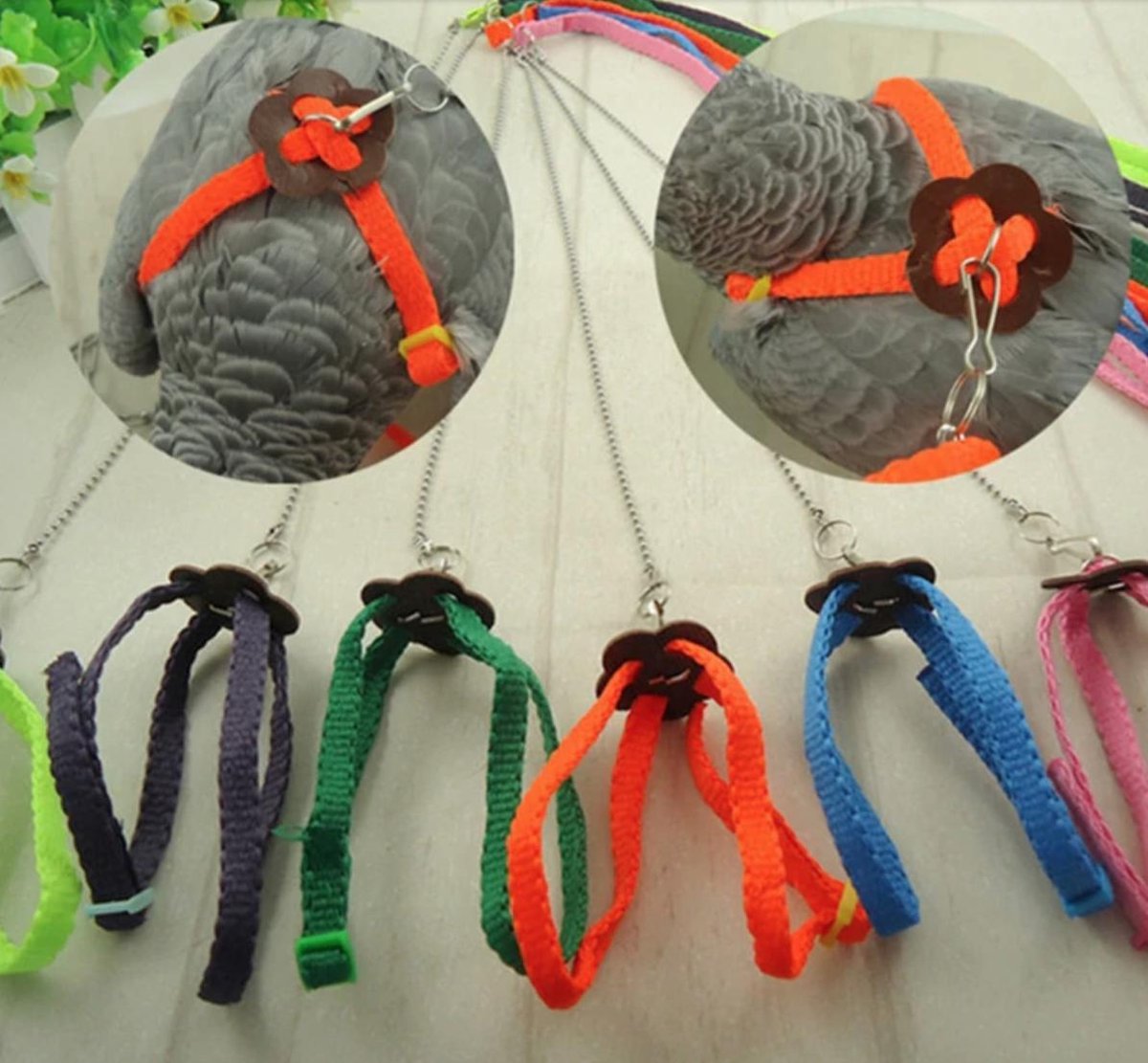 Hiden Vogeltuigje - Dierenaccessoires - Dieren - Vogel training - Random Colors