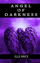 The Day-Walker Saga - Angel of Darkness