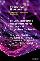 Elements in Flexible and Large-Area Electronics - 1D Semiconducting Nanostructures for Flexible and Large-Area Electronics