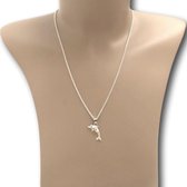 Zilveren ketting shiva shell dolfijn