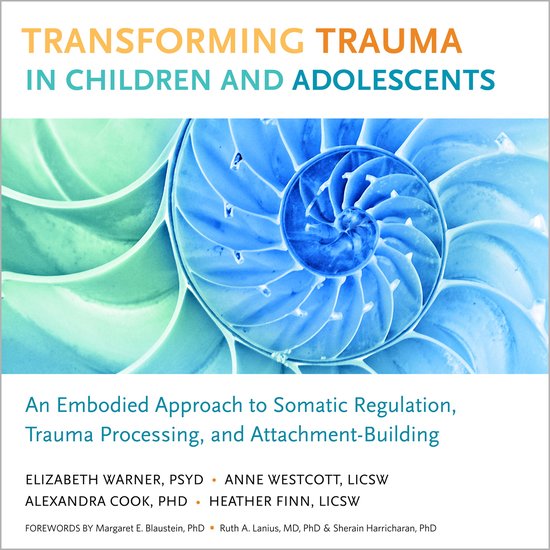 Transforming Trauma in Children and Adolescents - cover