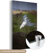 MuchoWow® Glasschilderij 20x30 cm - Schilderij acrylglas - Grote zilverreiger in de natuur - Foto op glas - Schilderijen