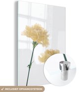 MuchoWow® Glasschilderij 120x160 cm - Schilderij acrylglas - Witte Anjer bloemen tegen een witte achtergrond - Foto op glas - Schilderijen
