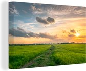 Tableau sur Toile Prairie en Thaïlande - 140x90 cm - Décoration murale