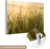 MuchoWow® Glasschilderij 180x120 cm - Schilderij acrylglas - Vroege dauw op grasbladen bij zonsopgang - Foto op glas - Schilderijen