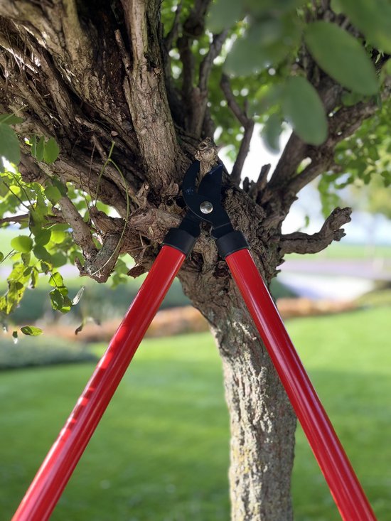 Talen Tools - Takkenschaar - Voorbijsnijdend - 60 cm van Talen Tools — afbeelding 4