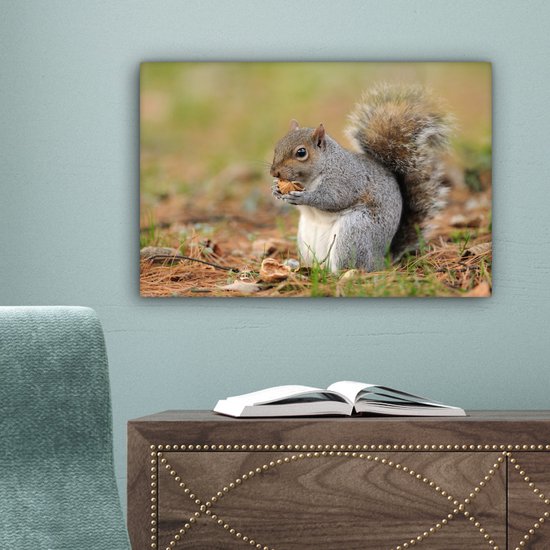 Tableau sur toile Écureuil avec cacahuète - 30x20 cm - Décoration murale
