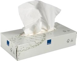 Care-Ness Facial Tissues Excellent - Tissue Box - Tissues Voordeelverpakking - 10 x 100 Tissues - 2 laags