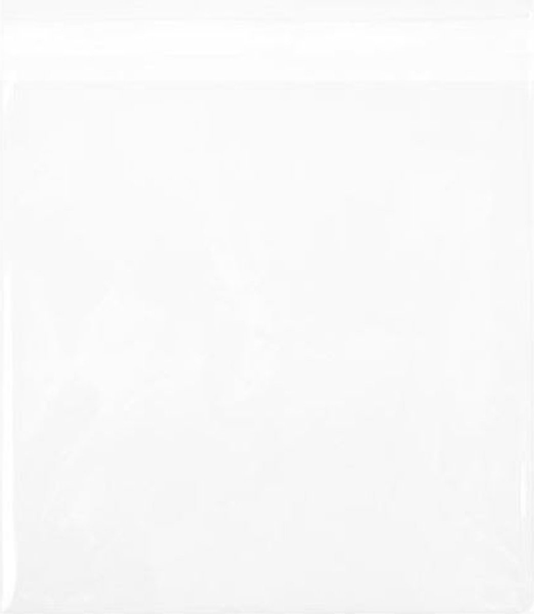 Goedkoopste Zakken Milieuvriendelijk ECO 5x5cm Premium Kwaliteit (100 stuks