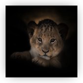Welp leeuw - Leeuw schilderij - Kinderkamer canvas - Kinderen - Muurdecoratie leeuw - Wanddecoratie canvas - 60 x 60 cm 18mm