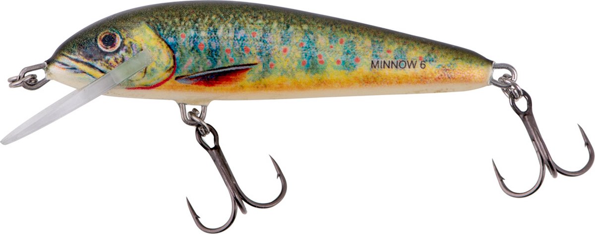 Salmo Floating Minnow 7cm - 6gr (diepte 1-1.5m) - Soort : Lake Charr