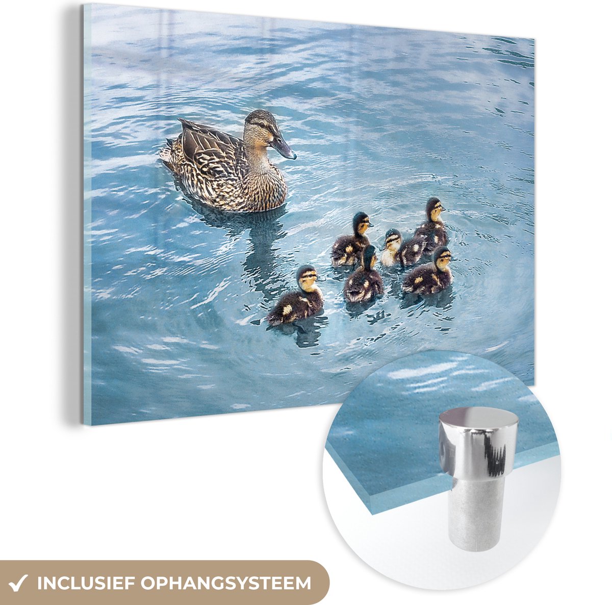 ® Glasschilderij 90x60 cm - Schilderij acrylglas - Eend - Moeder - Baby - Foto op glas - Muurdecoratie woonkamer - Wanddecoratie slaapkamer - Schilderijen