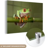 MuchoWow® Peinture sur verre 90x60 cm - Peinture sur verre acrylique - Grenouille - Vert - Branche - Photo sur verre - Peintures