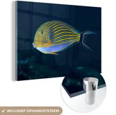 MuchoWow® Glasschilderij 30x20 cm - Schilderij acrylglas - Vis - Indonesië - Water - Foto op glas - Schilderijen