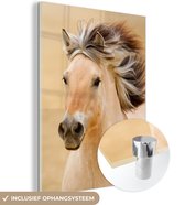 MuchoWow® Peinture sur verre 30x40 cm - Peinture sur verre acrylique - Paarden - Animaux - Crinière - Portrait - Photo sur verre - Peintures