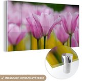 MuchoWow® Peinture sur verre 160x80 cm - Peinture sur verre acrylique - Fleurs - Tulipes - Rose - Photo sur verre - Peintures