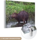MuchoWow® Glasschilderij 90x60 cm - Schilderij acrylglas - Een Capibara in een moeras gebied - Foto op glas - Schilderijen
