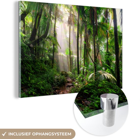 MuchoWow® Glasschilderij 30x20 cm - Schilderij acrylglas - Jungle - Palmboom - Pad - Jongens - Meisjes - Kids - Foto op glas - Schilderijen