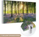 MuchoWow® Glasschilderij 160x80 cm - Schilderij acrylglas - Een bos bedekt met sterhyacinten tijdens een zonnige dag - Foto op glas - Schilderijen
