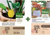 Pakket: Pokon Aaltjes Tegen Rouwvliegjes (5 tot 10 planten) + Pokon Bio Vangplaatjes Tegen Potgrondvliegjes 15st