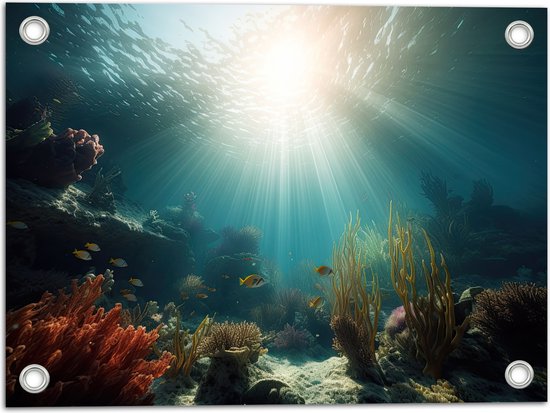 Tuinposter – Zee - Onderwater - Zon - Vissen - Koraal - 40x30 cm Foto op Tuinposter (wanddecoratie voor buiten en binnen)
