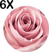 BWK Stevige Ronde Placemat - Close Up Roze Roos - Set van 6 Placemats - 50x50 cm - 1 mm dik Polystyreen - Afneembaar