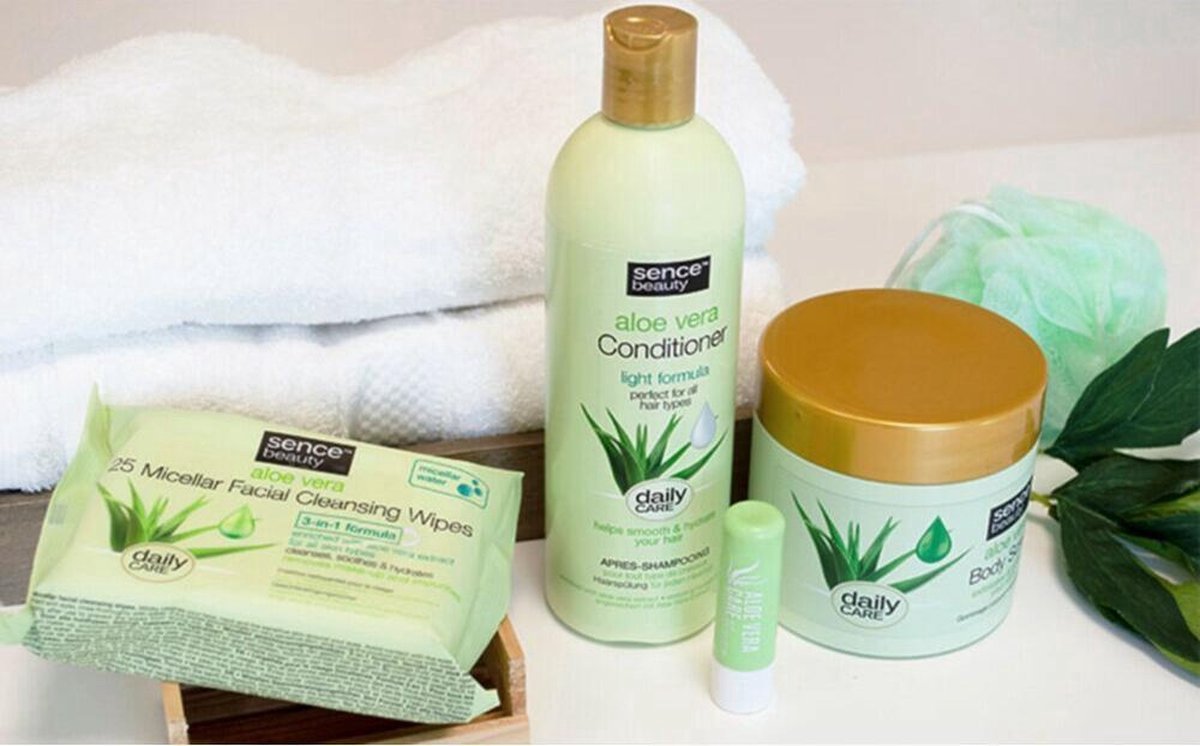 aloe vera pflanze fr zuhause Aloe Vera Alfonso  Aloe-Vera-Pflanze in Grtnerqualitt kaufen