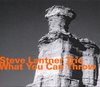 Steve Lantner Trio - What You Can Throw (CD)