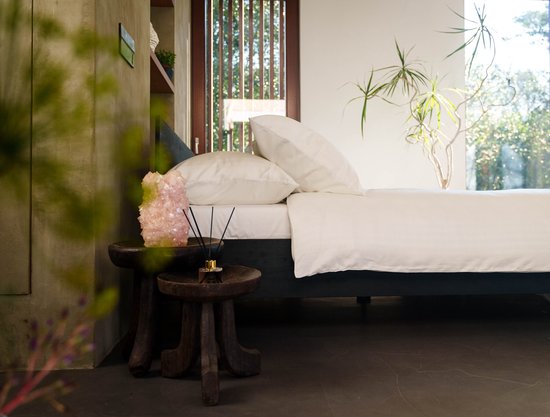 Foto: Kayori akemi dekbedovertrek offwhite effen lyocel b 240 x l 200 cm b 240 x l 220 cm lits jumeaux vochtabsorberend luchtdoorlatend omkeerbaar sneldrogend kay008623 240 x 200 220 cm