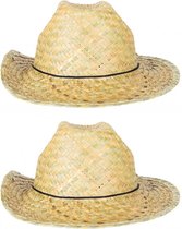 Toppers in concert - Verkleed hoedje voor Tropical Hawaii Beach party - 2x - Stro hoed - volwassenen - Carnaval